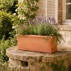 May include: A rectangular terracotta planter box with a smooth finish and a subtle rim detail, filled with a variety of green herbs and tall purple lavender stalks, showcasing a natural earthy orange colour and a classic, functional design.