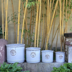 Può includere: Un set di quattro vasi cilindrici in ceramica grigio chiaro di dimensioni variabili, ciascuno caratterizzato da un emblema circolare sul davanti con l'illustrazione di un albero e la scritta "HOME & GARDEN" impressa in marrone scuro.