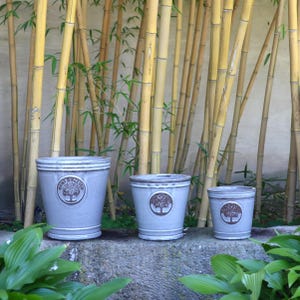 May include: Three light gray ceramic planters of varying sizes, each featuring a circular medallion with a brown embossed tree design on the front. The planters have a smooth, glossy finish and a slightly flared rim at the top edge.