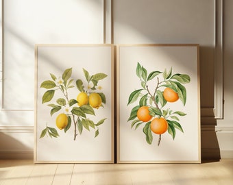 Orange and Lemon Tree Wall Art Print Set - Farmhouse Kitchen Wall Art, Fruit Art for Kitchen Decor, Mediterranean Citrus, Printable Wall Art