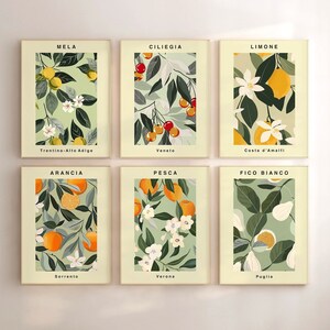 May include: Six framed prints with a green background and illustrations of various fruits and flowers. Each print has the name of the fruit or flower in Italian, the region of Italy where it is grown, and the name of the fruit or flower in English.