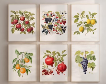 Vintage Fruit Print Set (6) | Lemon • Orange • Apple • Berry Kitchen Wall Art | Botanical Orchard Posters | Instant Download