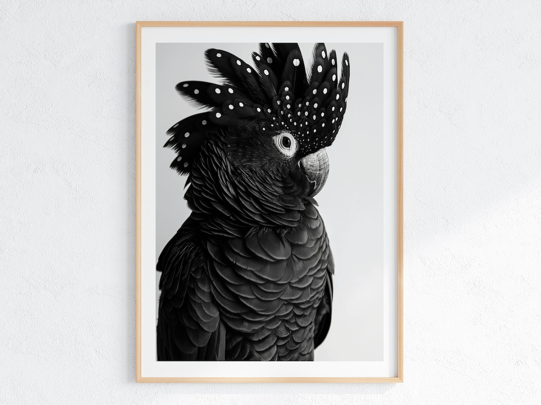Black Cockatoo Wall Art Print Australian Bird, Black White — free download
