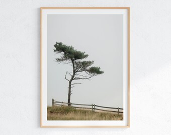 Minimalist Tree Landscape Art Print: Serene Nature Wall Decor (Digital Download)