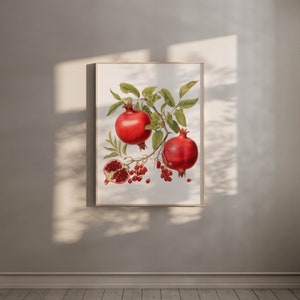 May include: A vintage botanical illustration of a pomegranate branch with three red pomegranates, two whole and one cut open, with red seeds visible. The illustration is on a white background.