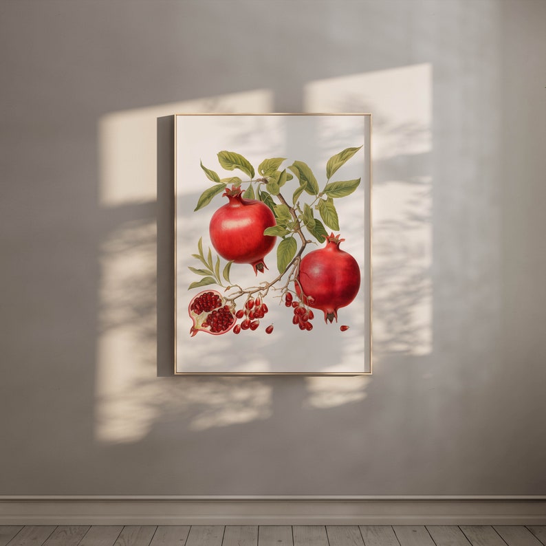 May include: A vintage botanical illustration of a pomegranate branch with three red pomegranates, two whole and one cut open, with red seeds visible. The illustration is on a white background.