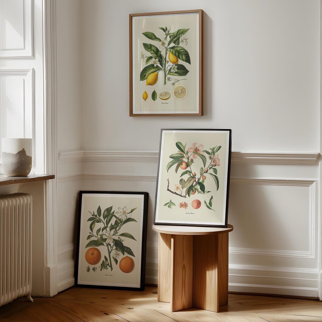 add a touch of nature to your kitchen with citrus... Citrus and Peach Fruit Print Set of 3 - Mediterranean Kitchen Wall Art ...