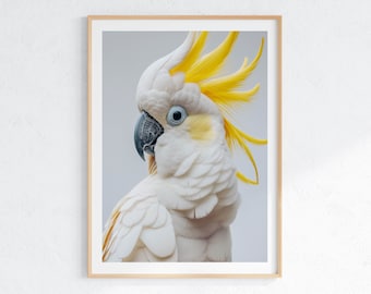 Cockatoo Art Print: Sulphur-Crested Australian Bird (Digital Download)