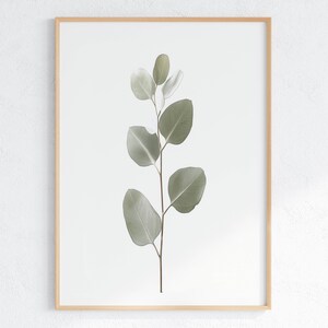 Eucalyptus Leaf Print: Minimalist Botanical Wall Art (Digital Download)