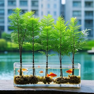 May include: A rectangular glass aquarium with five small, green, leafy trees and several orange goldfish. The trees are planted in a bed of brown gravel. The background shows a body of water and buildings.