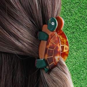 May include: A decorative hair clip in the shape of a turtle, featuring a tortoiseshell pattern in shades of brown, orange, and green. The clip is attached to brown hair, with a green background.