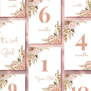 Cartes d'étapes florales bohèmes, Cartes d'étapes mensuelles florales pour bébés bohèmes, Accessoire photo imprimable pour la première année, Jalons mensuels pour bébé fille.