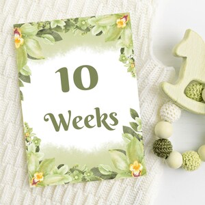Cartes imprimables d'étape importante de la grossesse, traqueur de grossesse vert sauge, cadeau pour une maman enceinte, accessoire photo de grossesse, accessoire photo de ventre rond.