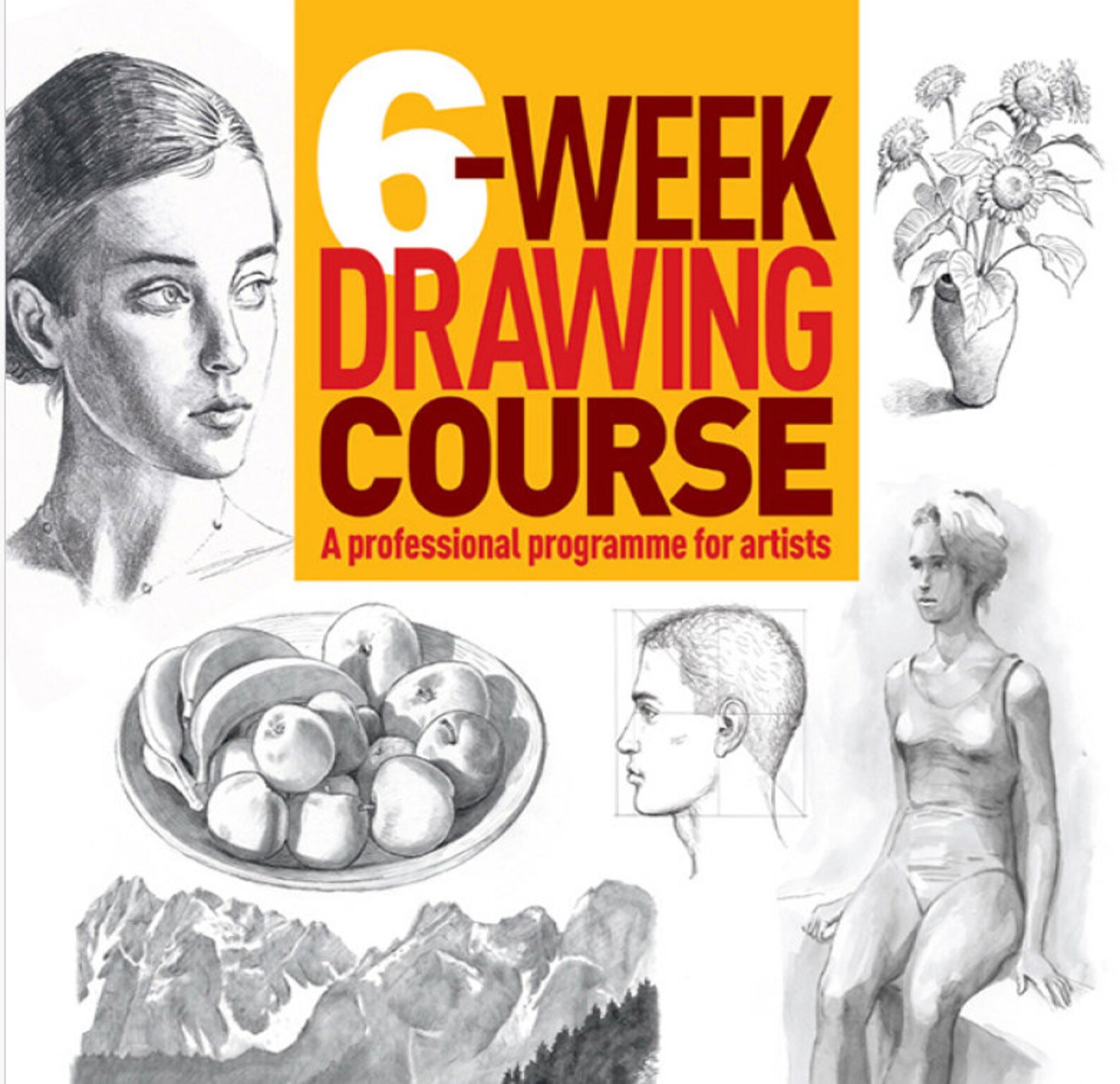 6-weeks Drawing Course - Etsy