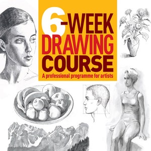 6-Weeks Drawing Course
