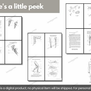 Anatomy Drawing Guide.pdf Anatomy for Artists: Complete Guide to Drawing the Human Body | Figure ...