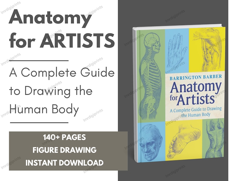 Anatomy Drawing Guide.pdf Anatomy for Artists: Complete Guide to Drawing the Human Body | Figure ...