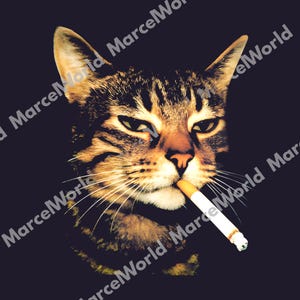 can i take cigarettes on the plane Can You Bring Cigarettes on a Plane? TSA Rules [2024] | by Veronica Hanson