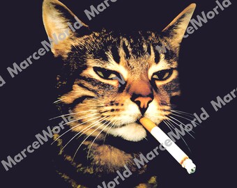 Funny Smoking Cat Meme SVG, Cigarette Cat TShirt, Gen Z Joke PNG, Stupid Brainrot Gift, Cat Lover Gift, Funny Kitty, Cool Cat, Digital file