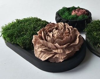 Difusor pasivo, Arte de musgo, Difusor en forma de flor, Piedra aromática de flores, Difusor de aceites esenciales, Decoración biofílica, Cuenco ovalado de musgo conservado