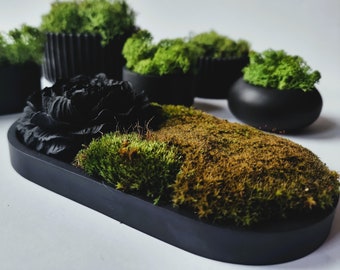 Moss Bowl middelpunt, Tafel middelpunt, Moss Art, Passieve diffuser met bewaard mos, Biophilic design passieve diffuser, Zen-tuin