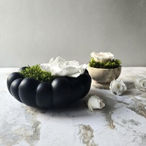 May include: Two black ceramic planters with white flowers and green moss. The planters are shaped like a pumpkin and a bowl.