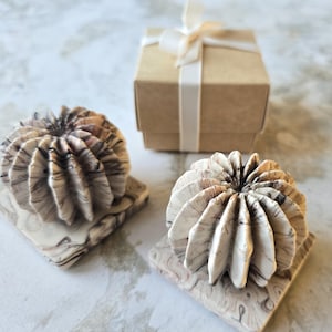 Peut inclure: Deux petites sculptures en céramique de cactus avec une base marbrée. Les sculptures sont blanches avec des marbrures brunes et noires. Les sculptures sont sur une surface blanche.