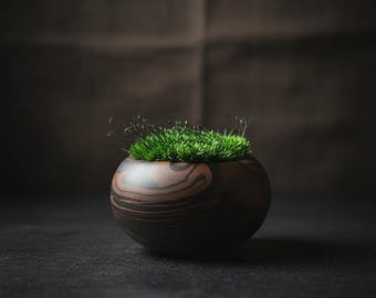 苔ボウル | テーブルセンターピース | 苔アート | プリザーブドモスボウル テーブルセンターピース