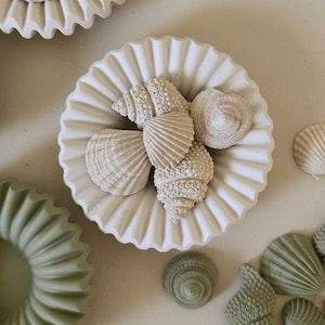 Op de afbeelding: Witte, gegroefde keramische schalen met schelpenaccenten. De schalen zijn rond met een geschulpte rand. Verschillende schelpen in wit- en beigetinten zijn op de schalen gerangschikt. Er liggen ook enkele groene schelpen.