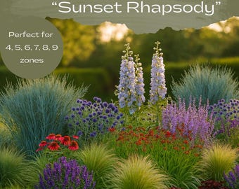 Pollinator Garden Design Plan: Blue and Red sidewalk garden plan (Zones 4 - 9) full sun garden