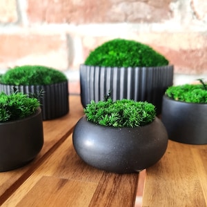 Moss Bowl | Table Centrepiece | Moss Art | Preserved moss bowl table centerpiece
