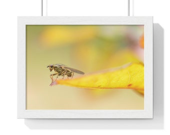 Vivid Macro Photography: Colorful Framed Poster for Unique Home Decor