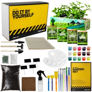 Dibys Set per la coltivazione di bambini con semi di erbe, attrezzo da giardinaggio, colora la scatola di legno