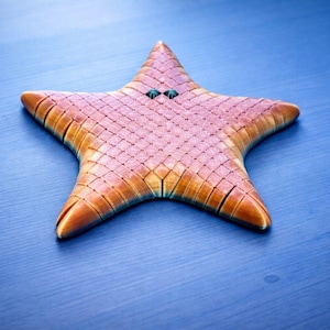 May include: A starfish-shaped object with a pink and tan color scheme. The starfish has a textured surface with a grid-like pattern. Two small, green details are visible near the center. The background is a solid blue.
