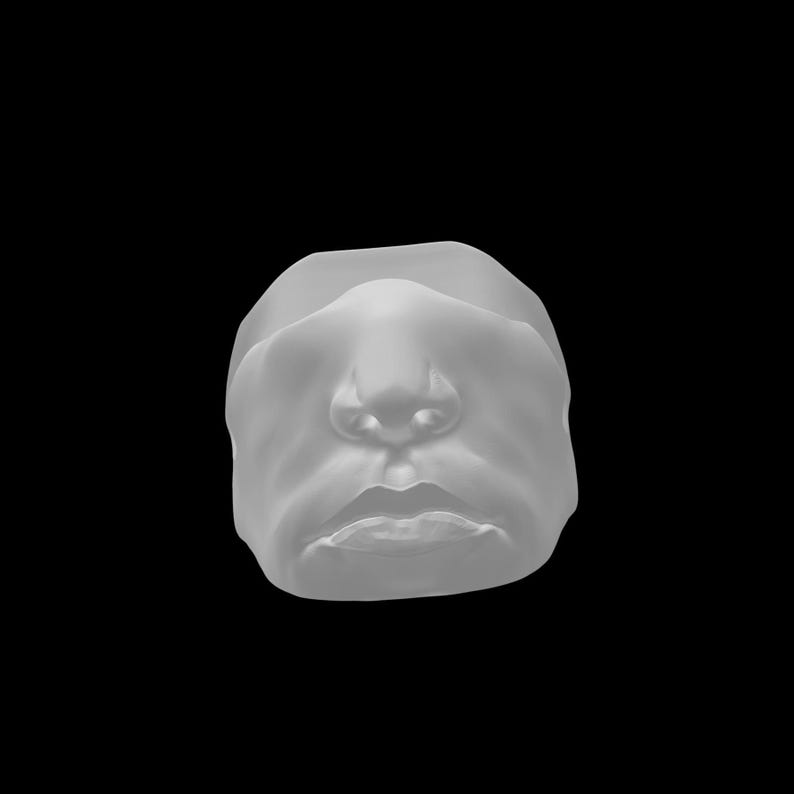 K&ouml;nnte beinhalten: Eine matte hellgraue Skulptur des menschlichen Nasen- und Mundbereichs. Das Modell der Gesichtsz&uuml;ge zeigt einen definierten Nasenr&uuml;cken, Nasenl&ouml;cher und Lippen mit neutralem Ausdruck. Die Oberfl&auml;che ist glatt und einfarbig auf schwarzem Grund.