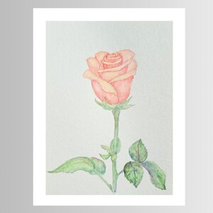 Acuarela Pintura Arte Original Flor Rosa Pieza única o conjunto de 4 piezas
