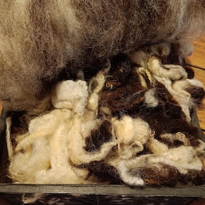 Locally carded wool blanket - felting, spinning, stuffing and crafts