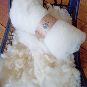 May include: A roll of off-white raw wool fibre wrapped in a brown paper band with the text LAINE CARDEE MAIN and a blue floral logo. The wool is soft and fluffy, with additional loose, unspun white wool fibres surrounding the central roll.