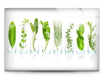 Green Herbs Tempered Glass Wall Art,Kitchen Wall Art,Green Leaves Wall Art,Tempered Glass Art,Wall Decor,Glass Printing,Kitchen Wall Decor