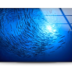 Extra Large Frame Tempered Glass Wall Art, Undersea Fish Aquarium Glass Print Artwork