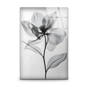 Black and White Floral Tempered Glass Wall Art: Modern Flower Decor