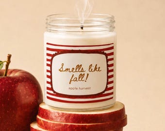 Vela aromática Regalo de cumpleaños para mejores amigas Fragancia para el hogar Regalo de inauguración de casa Agradecimiento a los maestros Decoración de verano Casa de playa Aroma de temporada