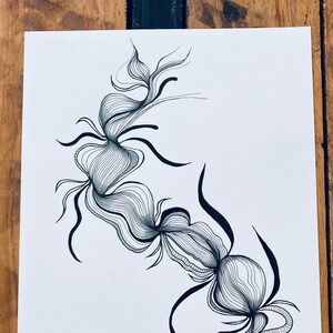 Illustration noir et blanc, dessinée à la main, courbes de lignes