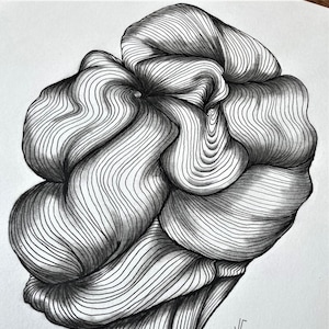 Illustration dessinée noir et blanc, fait à la main, dessin de courbes de lignes souples.