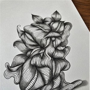 Dessin en noir et blanc, illustration dessinée  de courbes de lignes