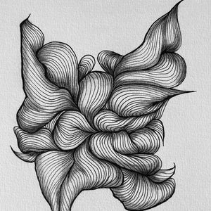 Illustration noir et blanc, fait à la main, courbes de lignes souples.