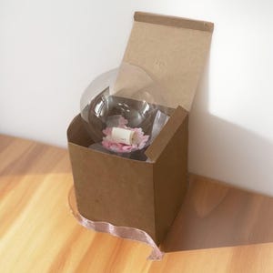 Kit fai da te palloncino pop me con messaggio, proposta matrimonio, testimone, gender reveal, messaggio