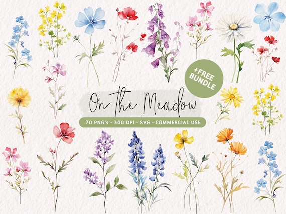 Watercolor Wildflower Clipart Bundle, Floral Clip Art Set, Summer Wildflowers PNG, Wildflowers Bouquet SVG, Floral Arrangement, Flower PNG
