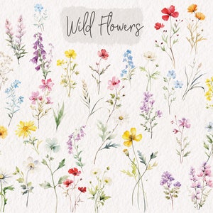 Puede incluir: Una colecci&oacute;n de ilustraciones de acuarela de varias flores silvestres en tonos de rosa, azul, amarillo, rojo y morado. Las flores est&aacute;n dispuestas en una cuadr&iacute;cula sobre un fondo blanco. El texto "Wild Flowers" est&aacute; escrito en negro en la parte superior de la imagen.