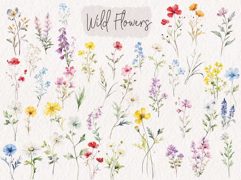 Puede incluir: Una colecci&oacute;n de ilustraciones de acuarela de varias flores silvestres en tonos de rosa, azul, amarillo, rojo y morado. Las flores est&aacute;n dispuestas en una cuadr&iacute;cula sobre un fondo blanco. El texto "Wild Flowers" est&aacute; escrito en negro en la parte superior de la imagen.